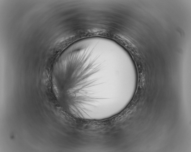 X0000111500917200908111243