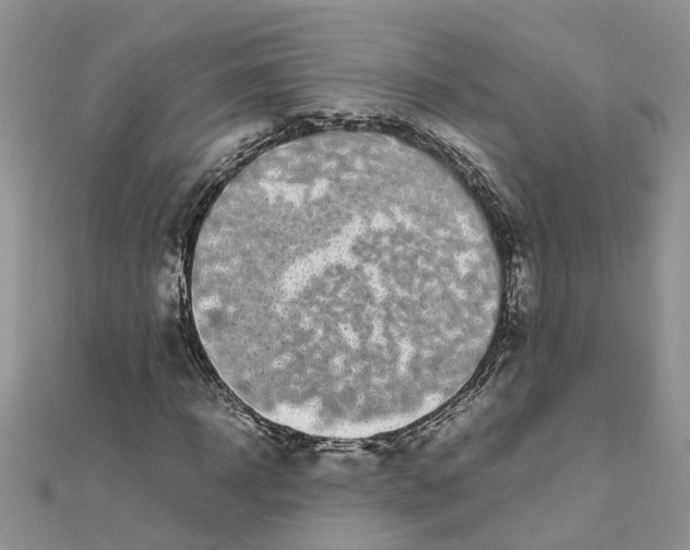 X0000111500918200908111243