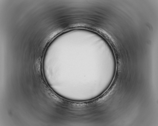 X0000111500921200908111243