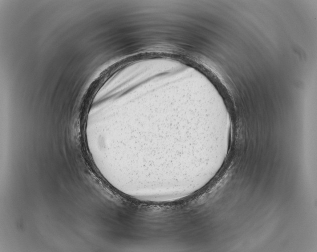 X0000111500923200908111243