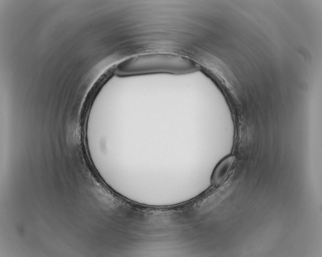 X0000111500924200908111243