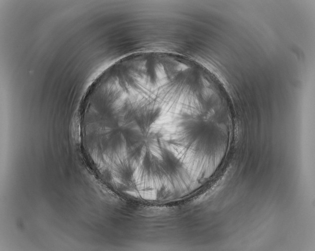 X0000111500925200908111243