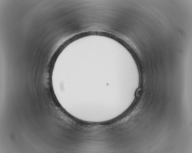 X0000111500926200908111243