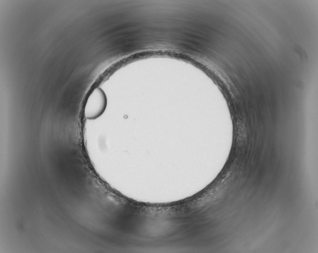 X0000111500927200908111243