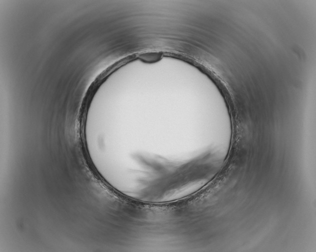 X0000111500928200908111243