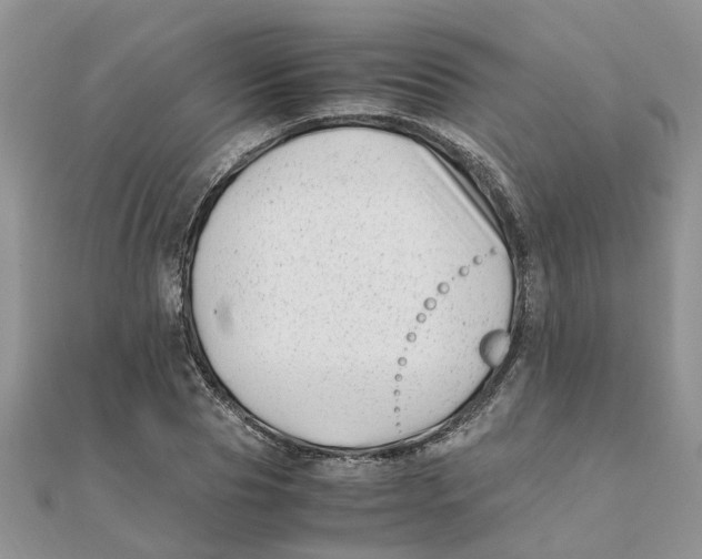 X0000111500929200908111243