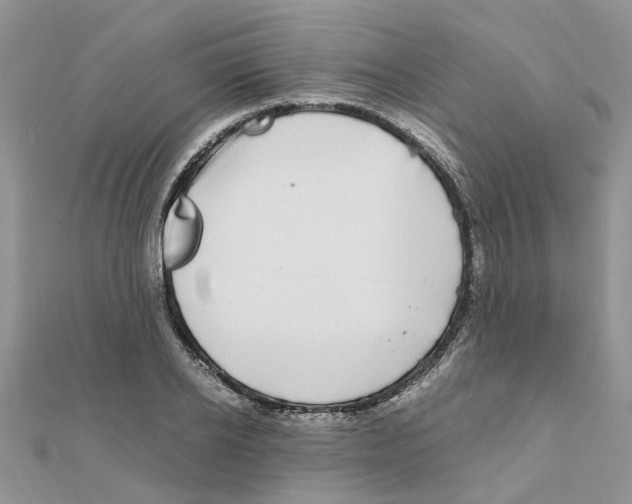 X0000111500934200908111243