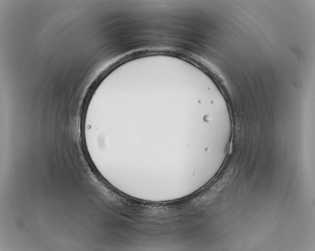 X0000111500935200908111243