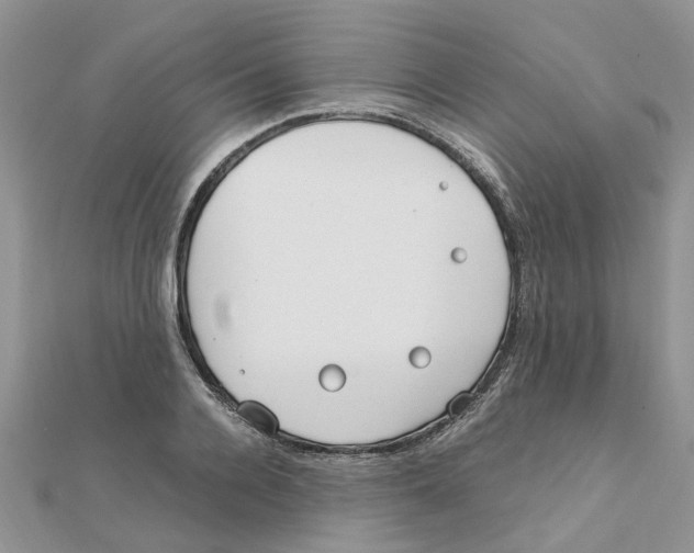 X0000111500936200908111243