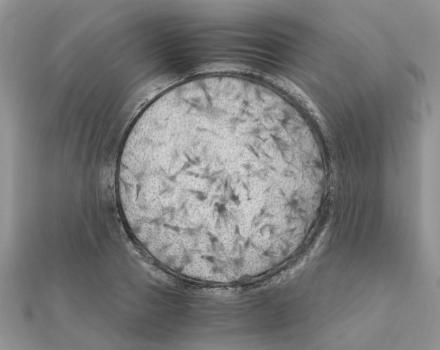 X0000111500937200908111243