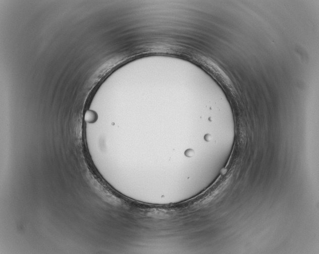 X0000111500938200908111243