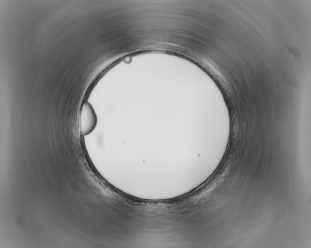 X0000111500940200908111243