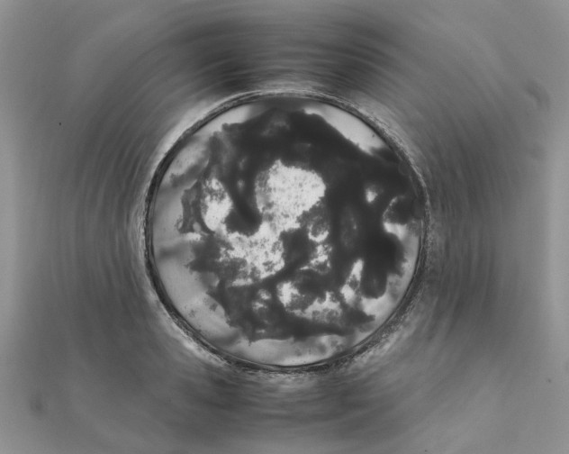 X0000111500941200908111243