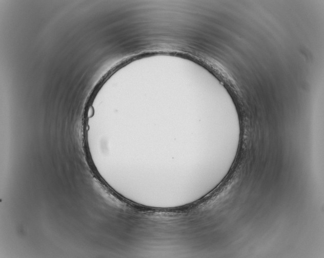 X0000111500942200908111243