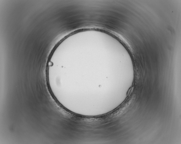 X0000111500943200908111243