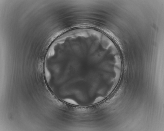 X0000111500945200908111243