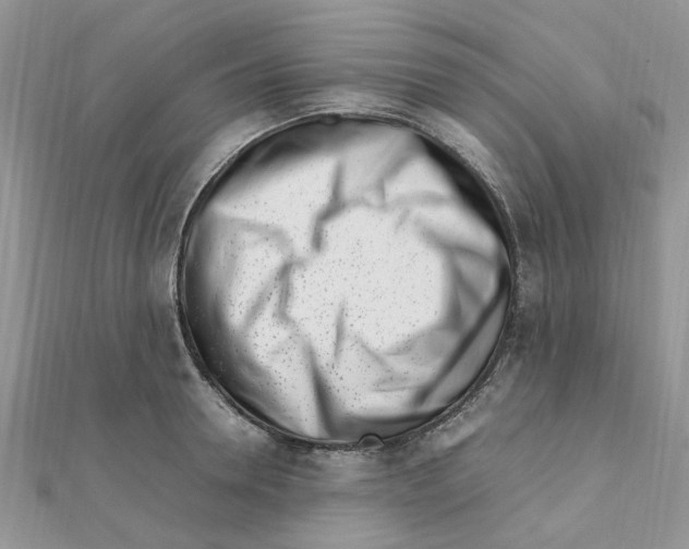 X0000111500946200908111243