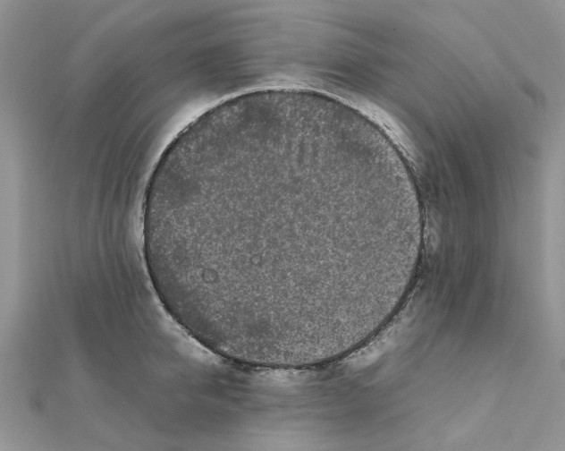 X0000111500950200908111243