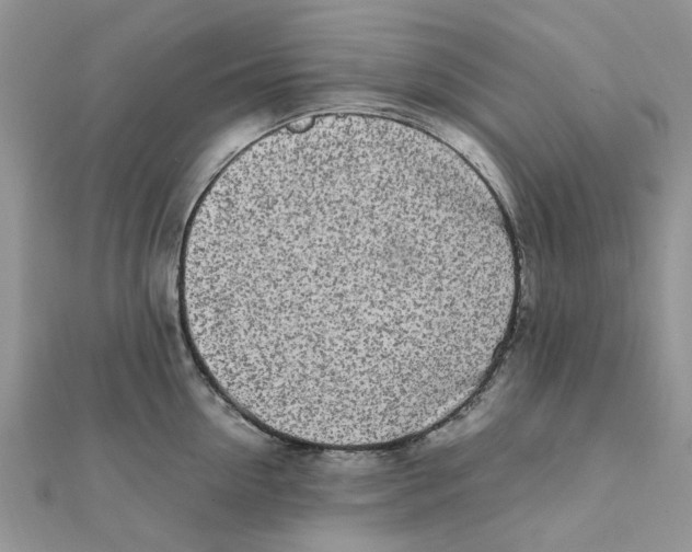 X0000111500954200908111244