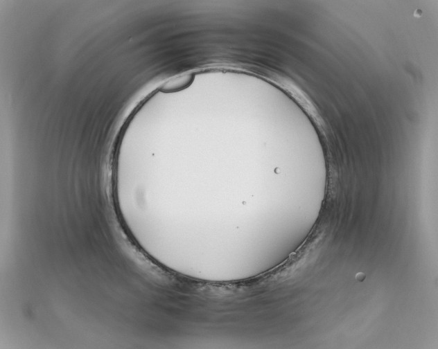 X0000111500955200908111244