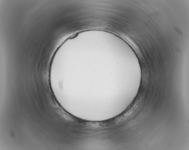 X0000111500956200908111244