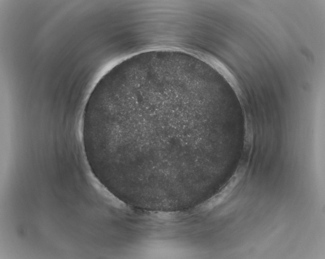 X0000111500958200908111244