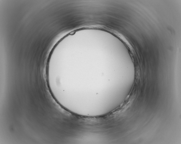 X0000111500959200908111244