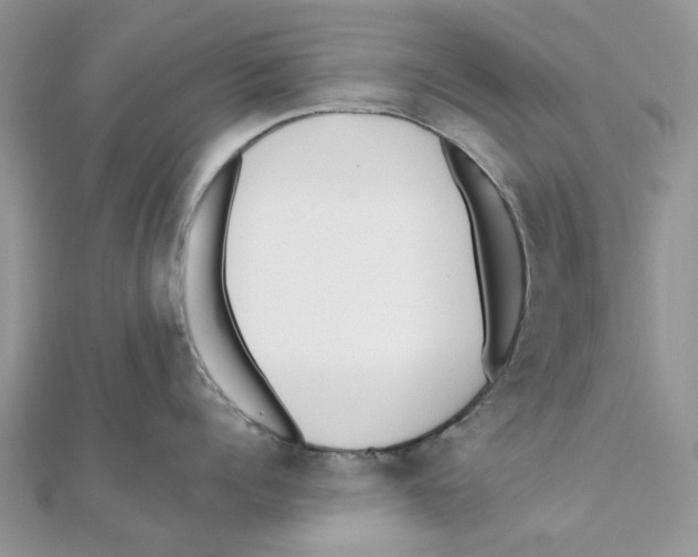 X0000111500960200908111244