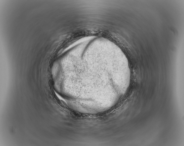 X0000111500961200908111243