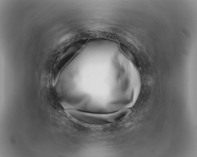 X0000111500965200908111243