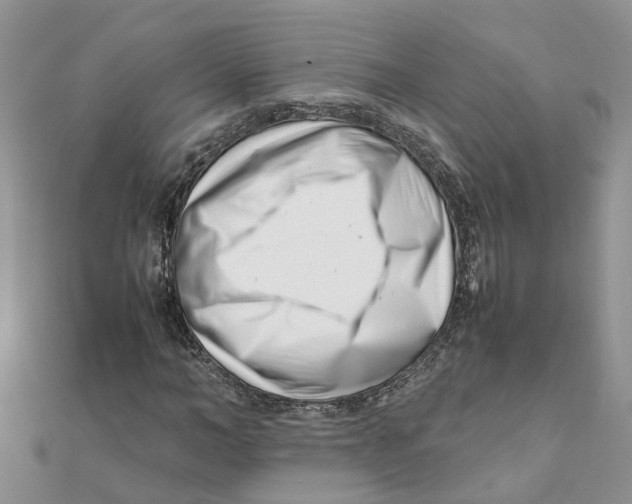 X0000111500966200908111243