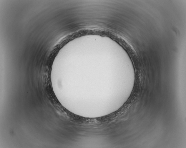 X0000111500968200908111243