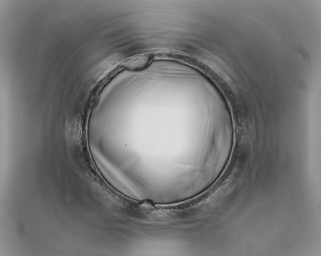 X0000111500969200908111243