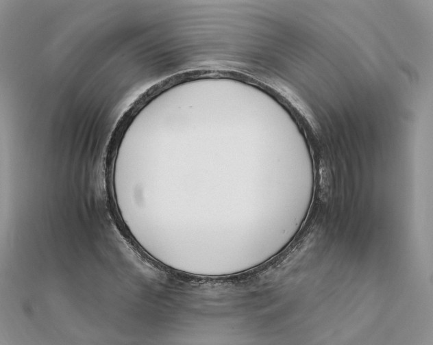 X0000111500972200908111243