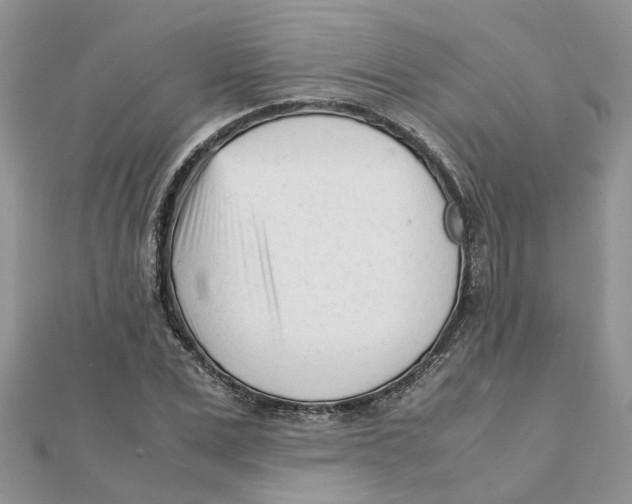 X0000111500975200908111243