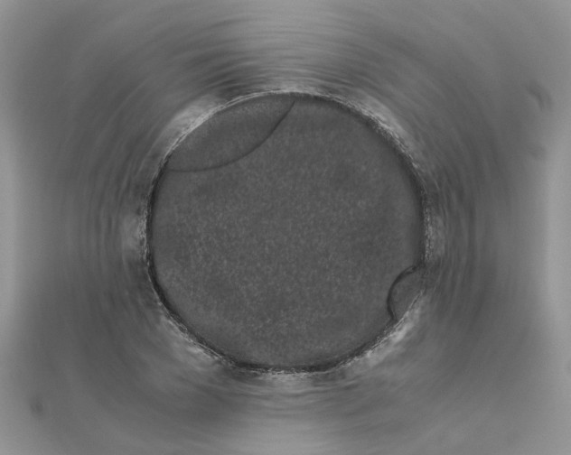 X0000111500977200908111243