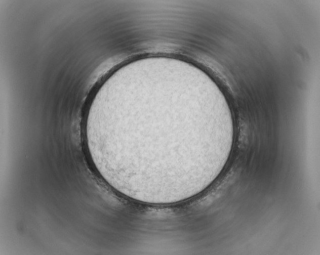 X0000111500978200908111243