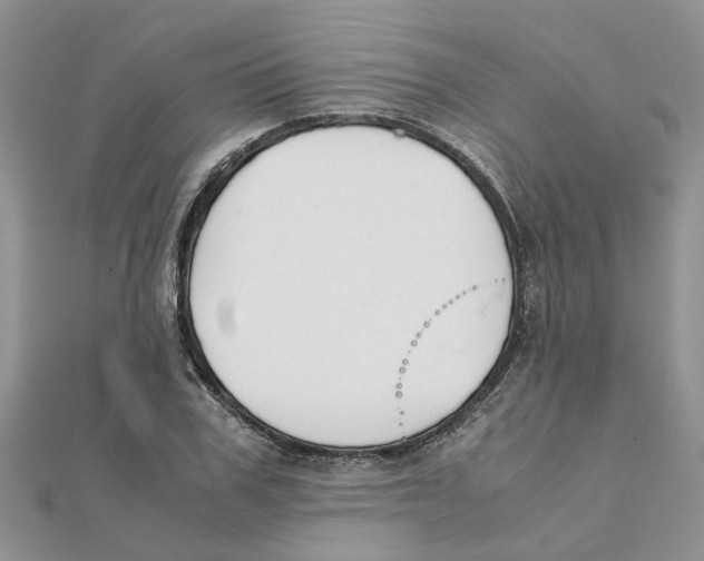 X0000111500979200908111243