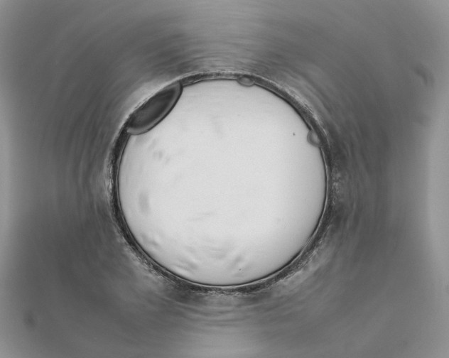 X0000111500981200908111243