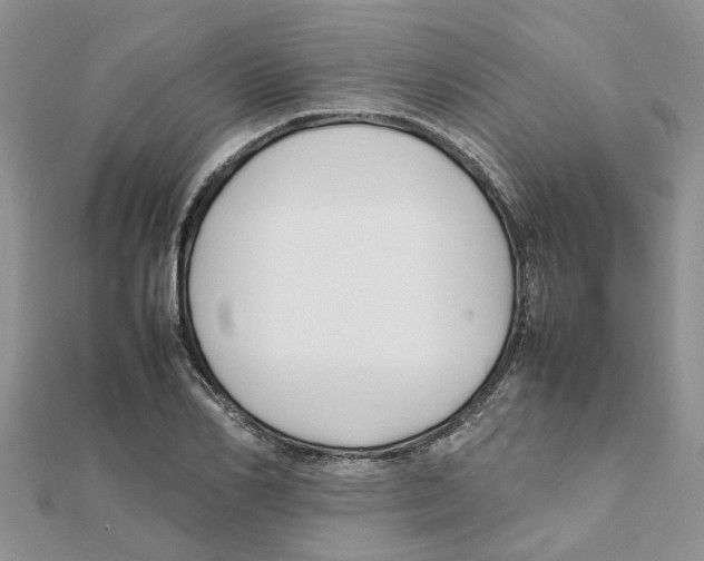 X0000111500982200908111243