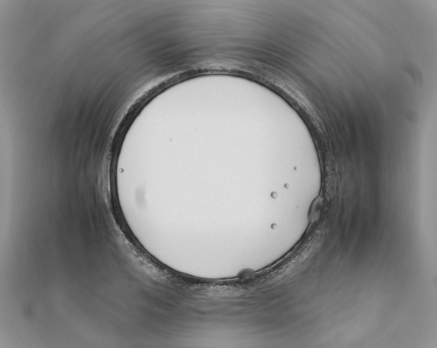 X0000111500984200908111243