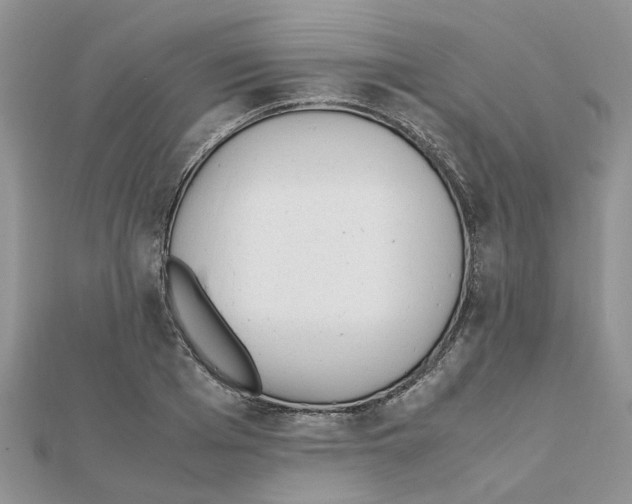 X0000111500985200908111243