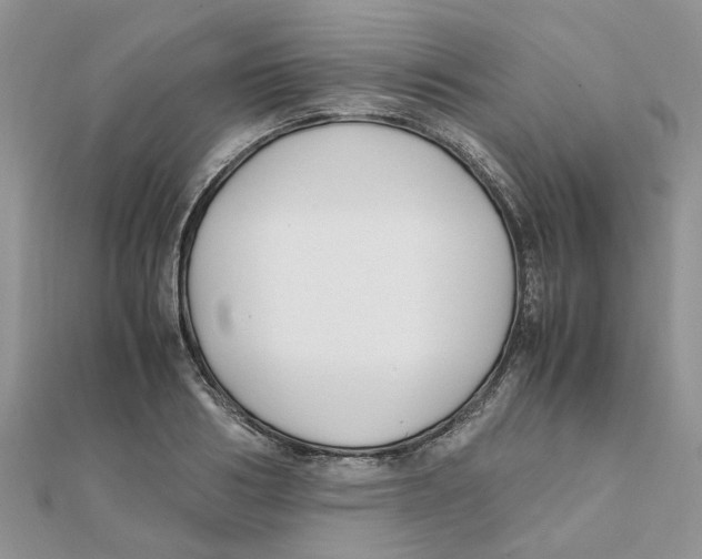 X0000111500986200908111243