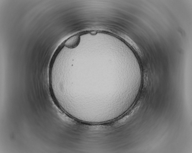 X0000111500988200908111242