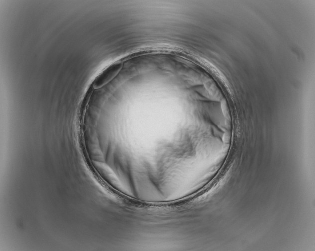 X0000111500989200908111242