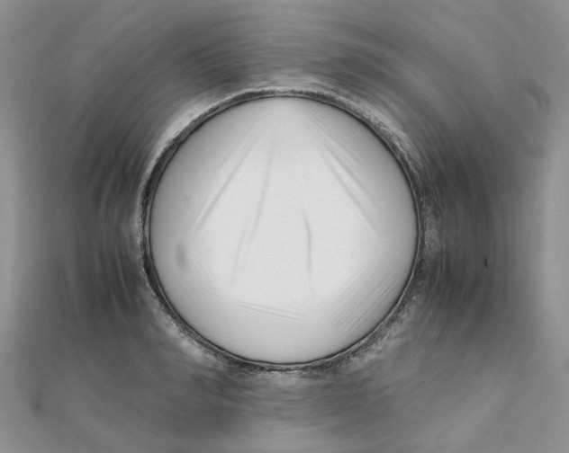 X0000111500990200908111242