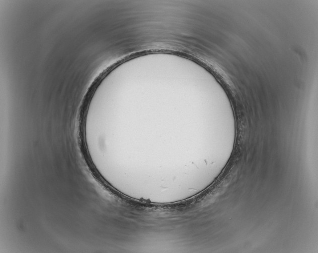 X0000111500991200908111242