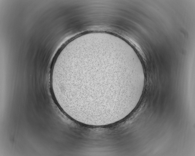 X0000111500992200908111242