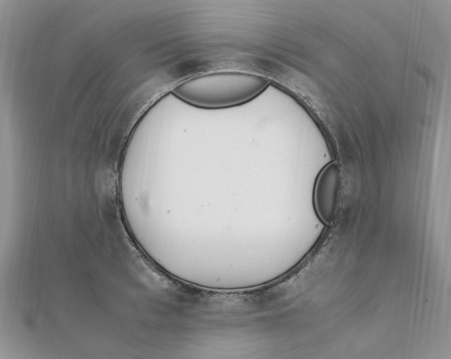 X0000111500993200908111242