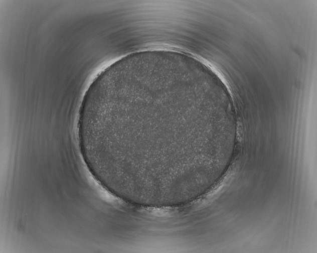 X0000111500995200908111242